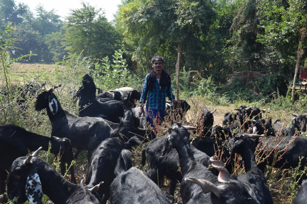 Unlocking Opportunities: A Comprehensive Guide to Bakri Palan Loans