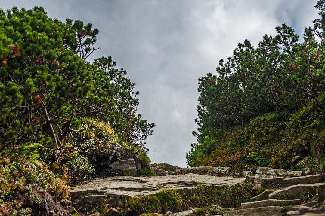 Photo Mountain hike